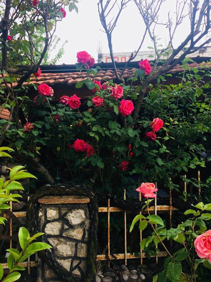 Guesthouse Berlin 바르 외부 사진